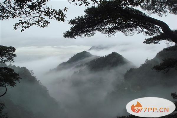 广东冬季去哪儿旅游比较好