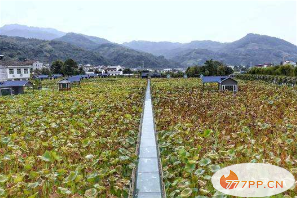 安康十大景点风景名胜排行榜