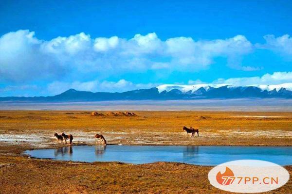 户外旅游注意事项 国内禁止旅游的景点有哪些