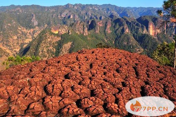 丽江老君山徒步攻略-老君山徒步路线