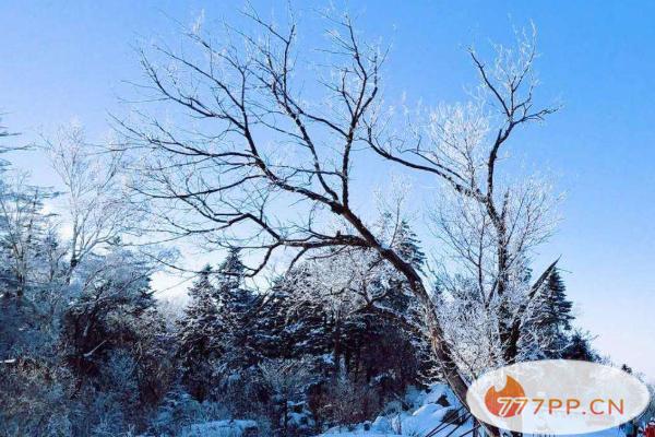 2021吉林北大湖滑雪场好玩吗 北大湖滑雪场门票+地址信息