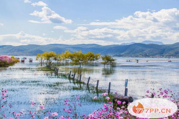 云南冬天适合去哪里旅游 冬天云南旅游必去的景点推荐