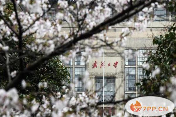 2021武汉大学赏樱最新规定及樱花赏花路线