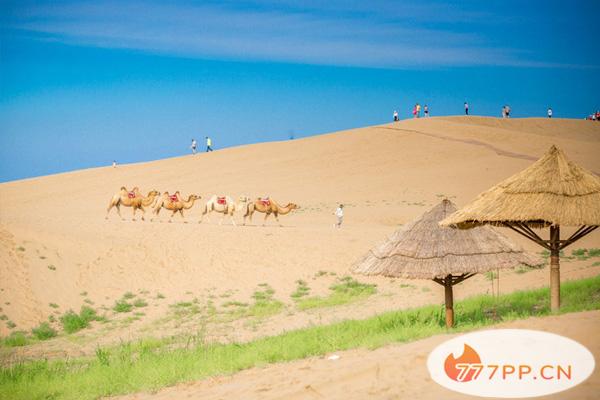 宁夏自驾游攻略最新 宁夏自驾游最佳路线及景点