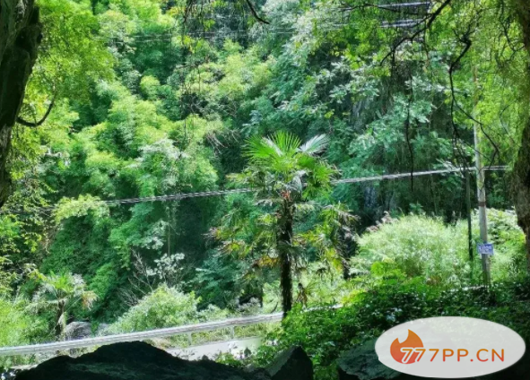 成都耍水露营避暑的地方-门票地址