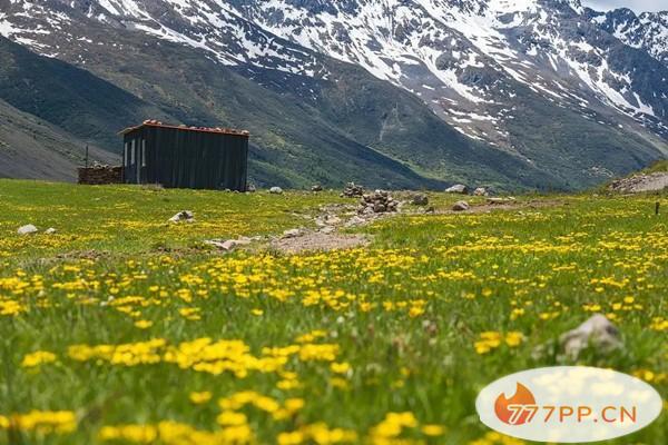 达格则景区地址及景区介绍