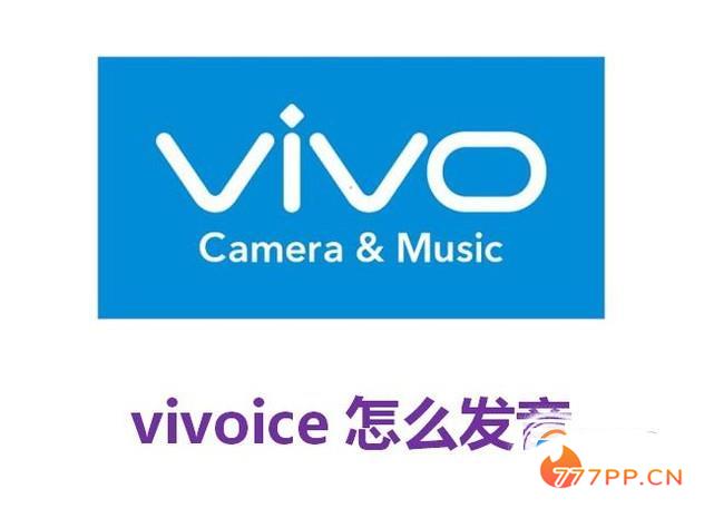 vivoice怎么发音