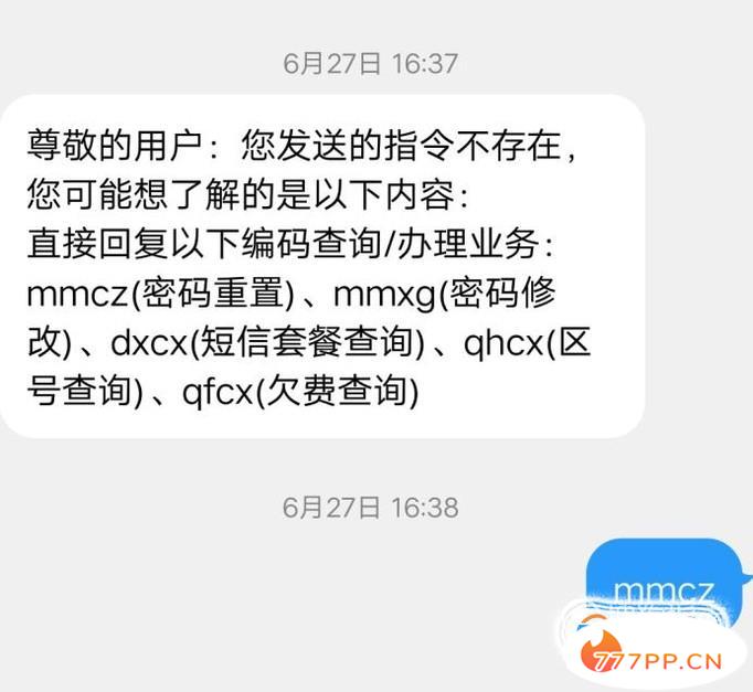 手机运营商服务密码怎么查