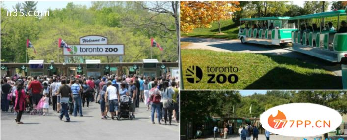 加拿大多伦多动物园