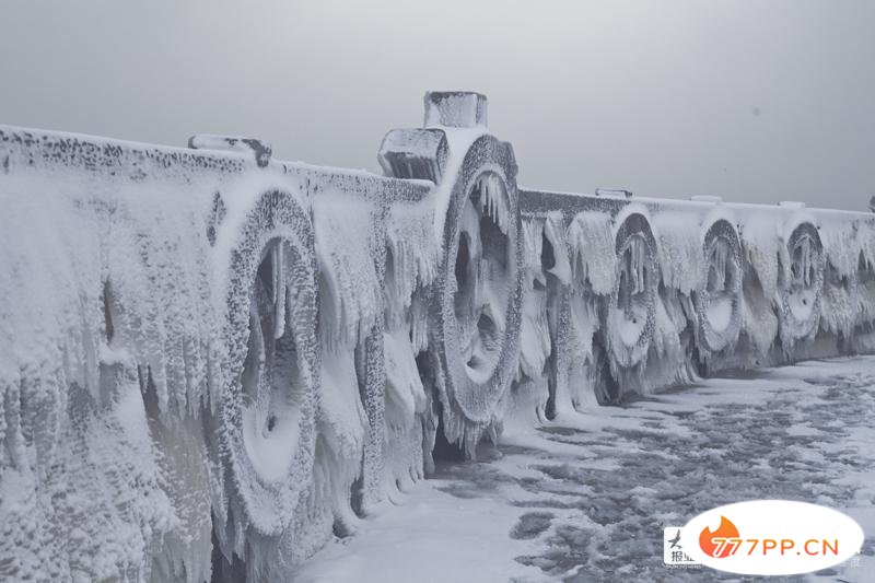 这就是烟台 | 美哉！大雪与海边撞了个满怀