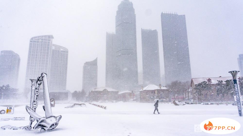 这就是烟台 | 美哉！大雪与海边撞了个满怀