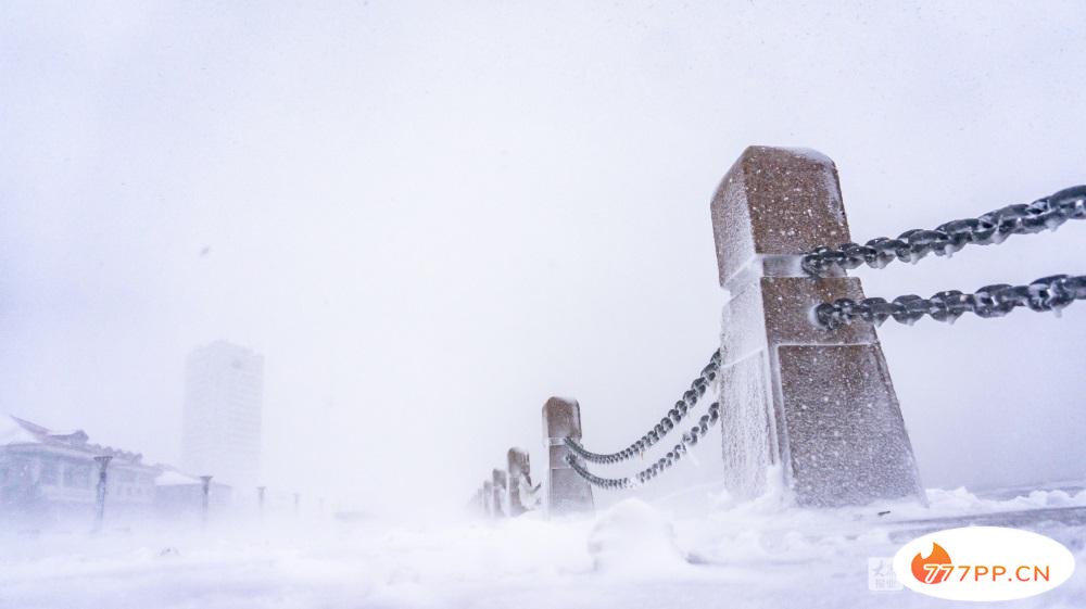 这就是烟台 | 美哉！大雪与海边撞了个满怀