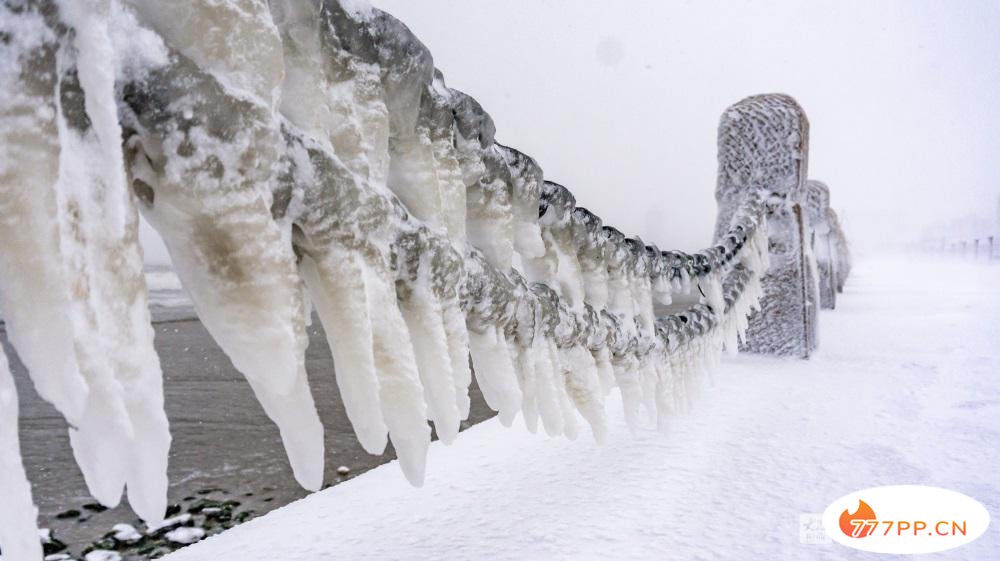 这就是烟台 | 美哉！大雪与海边撞了个满怀