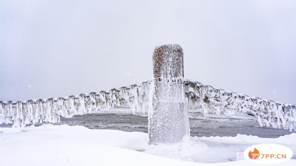 这就是烟台 | 美哉！大雪与海边撞了个满怀