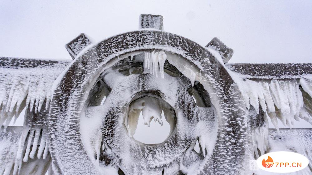 这就是烟台 | 美哉！大雪与海边撞了个满怀