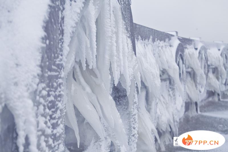 这就是烟台 | 美哉！大雪与海边撞了个满怀