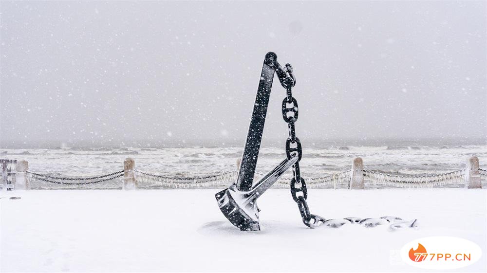 这就是烟台 | 美哉！大雪与海边撞了个满怀