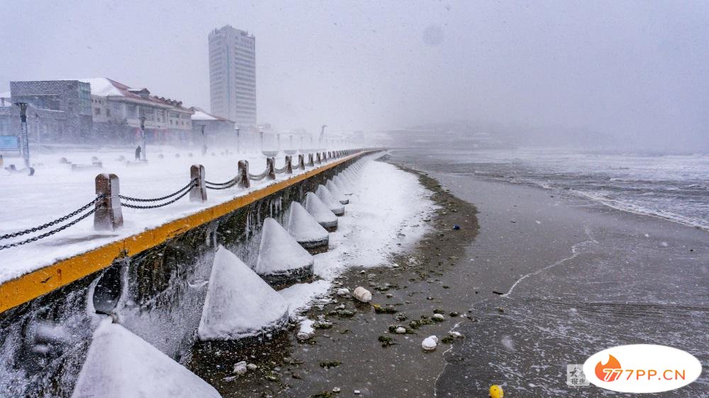 这就是烟台 | 美哉！大雪与海边撞了个满怀