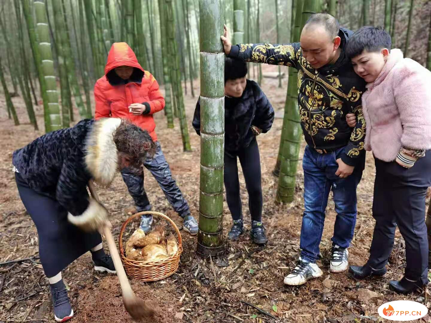 长沙周边春游去哪里？罗王古寨一日游攻略带给你春的气息