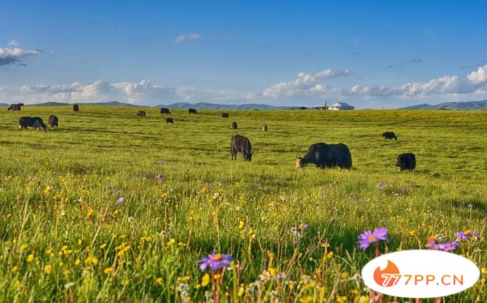 8月最佳旅行目的地，带您领略了盛夏中国的美