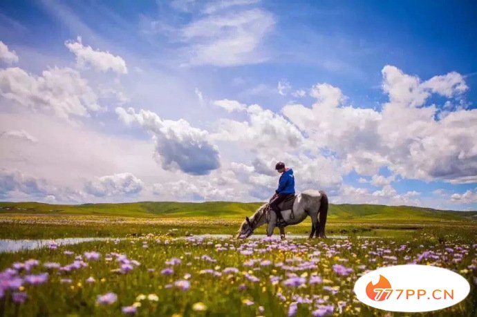 8月最佳旅行目的地，带您领略了盛夏中国的美