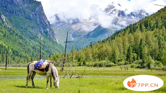 8月最佳旅行目的地，带您领略了盛夏中国的美