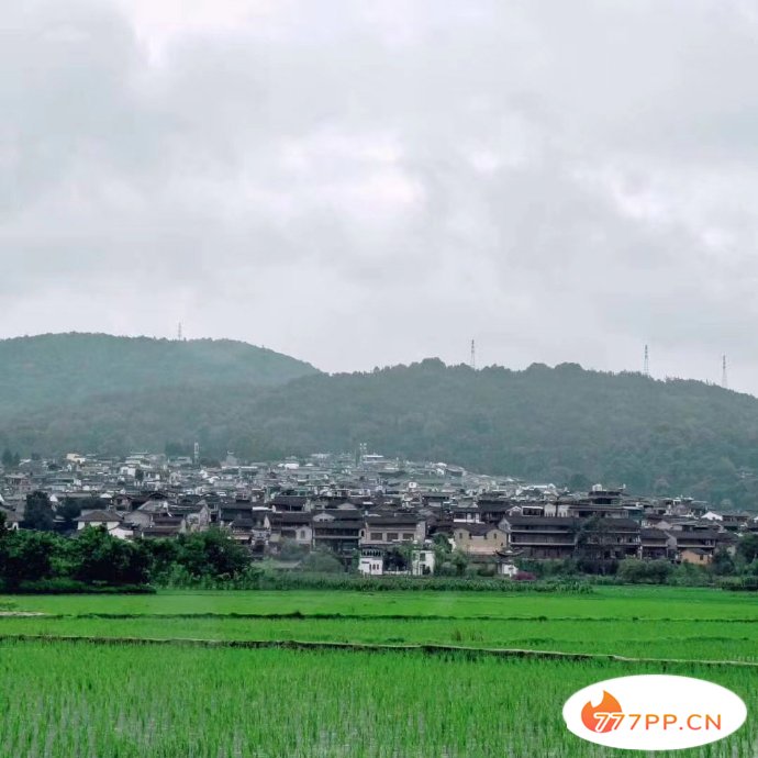 8月最佳旅行目的地，带您领略了盛夏中国的美