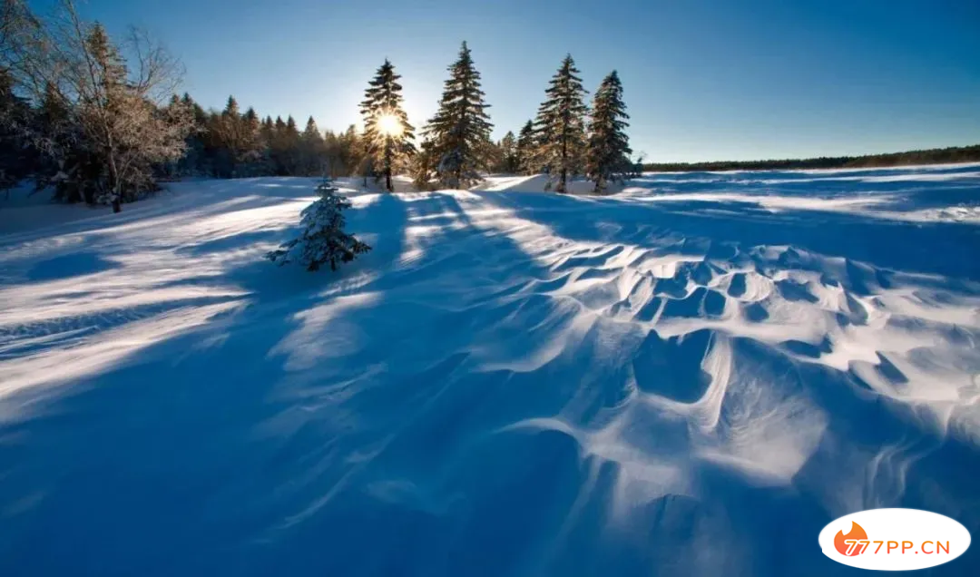 当初雪遇上立冬：这10大“最美雪景”，今年要在家里看了吗？