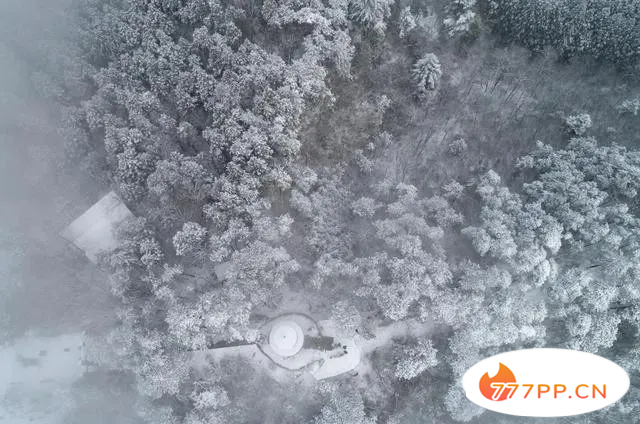 当初雪遇上立冬：这10大“最美雪景”，今年要在家里看了吗？