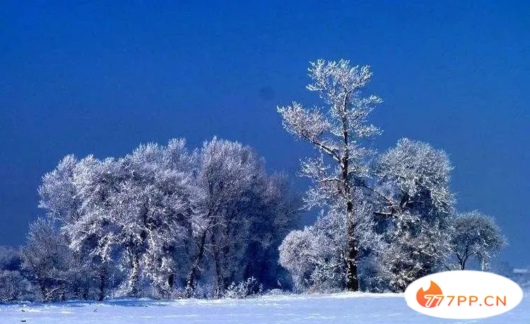 当初雪遇上立冬：这10大“最美雪景”，今年要在家里看了吗？