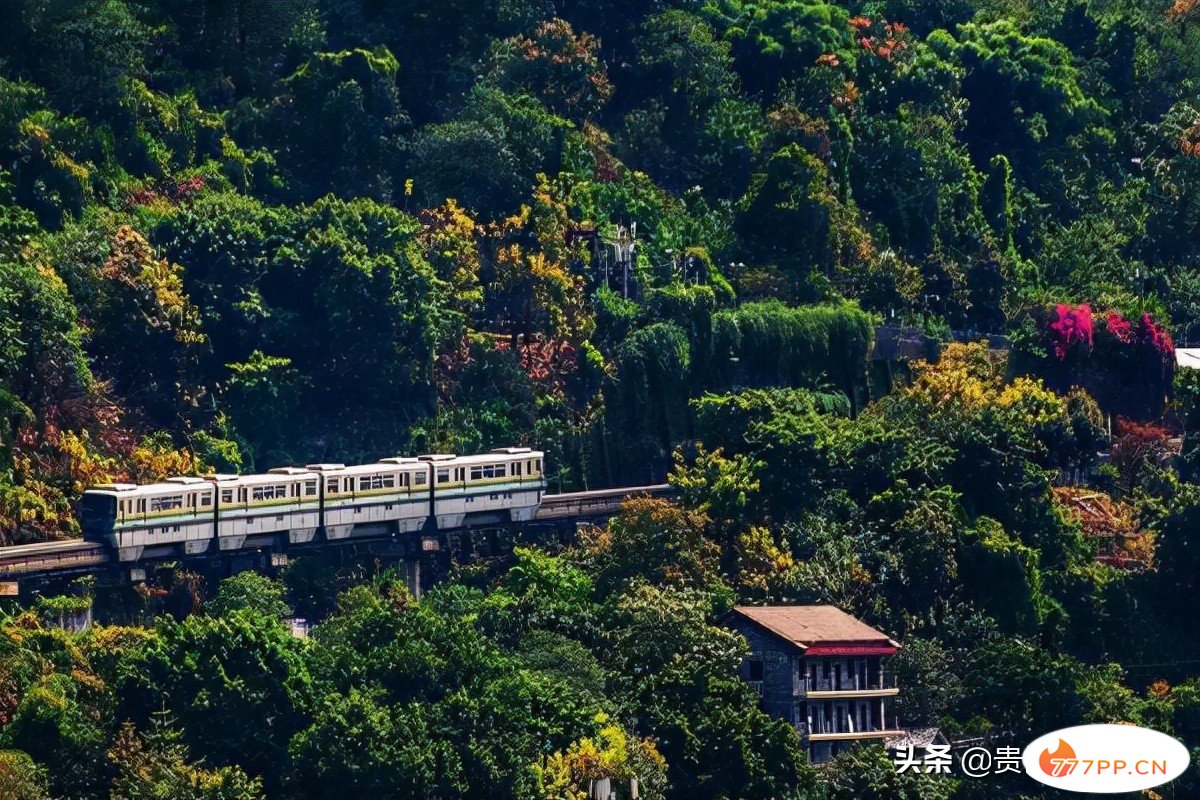 十大适合一个人散心的地方，这些地方可以一个人去游玩