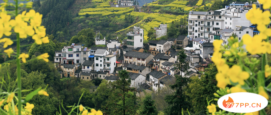 三月国内最佳旅游打卡地，有你的目的地吗？