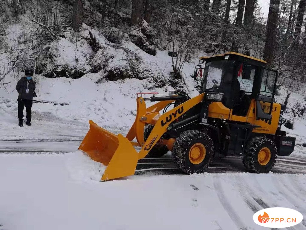 四川多个景区迎来新春瑞雪，峨眉山、海螺沟、西岭雪山冰雪世界太梦幻