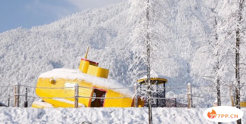 四川多个景区迎来新春瑞雪，峨眉山、海螺沟、西岭雪山冰雪世界太梦幻