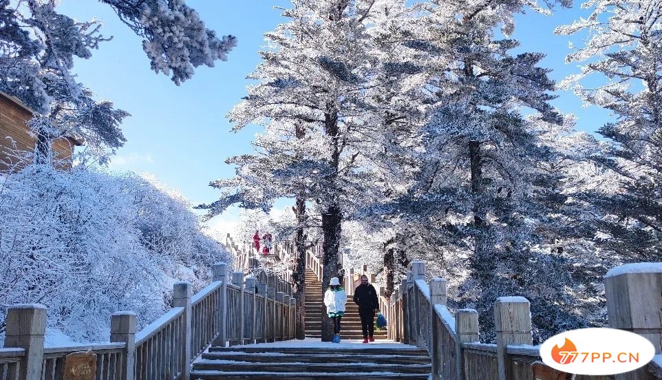 四川多个景区迎来新春瑞雪，峨眉山、海螺沟、西岭雪山冰雪世界太梦幻