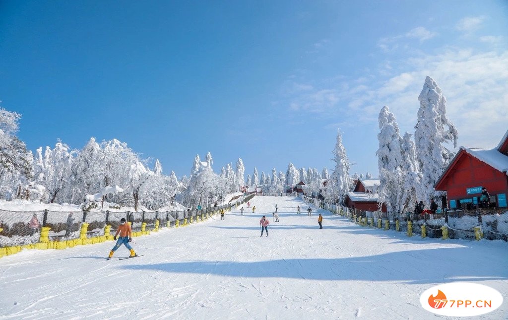 四川多个景区迎来新春瑞雪，峨眉山、海螺沟、西岭雪山冰雪世界太梦幻