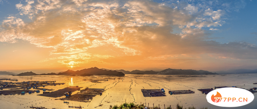 三月国内最佳旅游打卡地，有你的目的地吗？