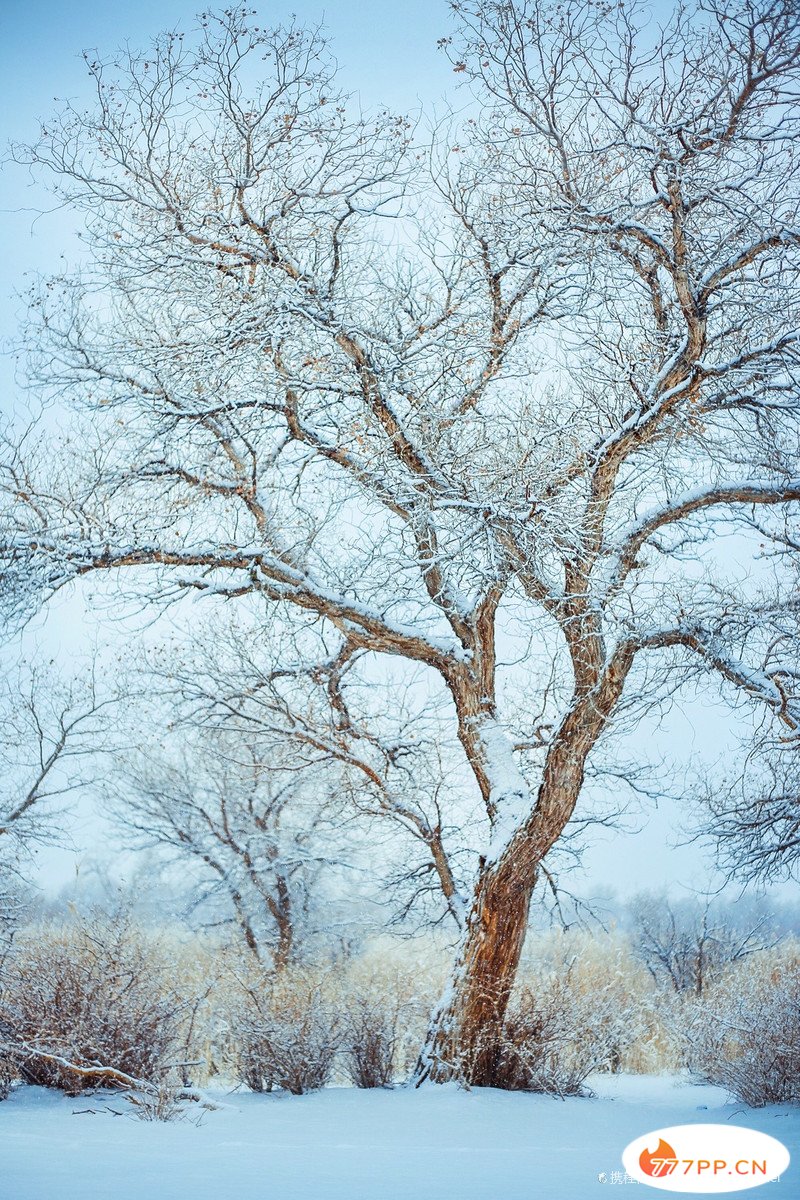 冬天去看雪，这7个地方实在是太迷人了，去几次都不会腻