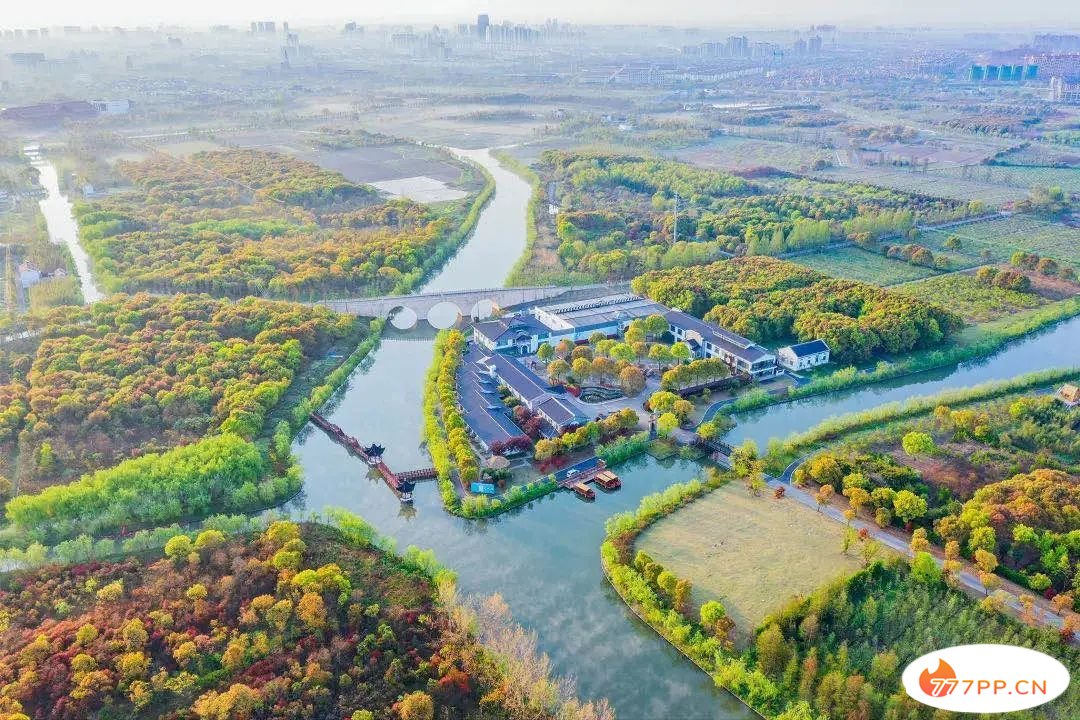 太嗲了！上海市郊藏着那么多“人间仙境”！12条休闲旅游线路你最爱哪条？