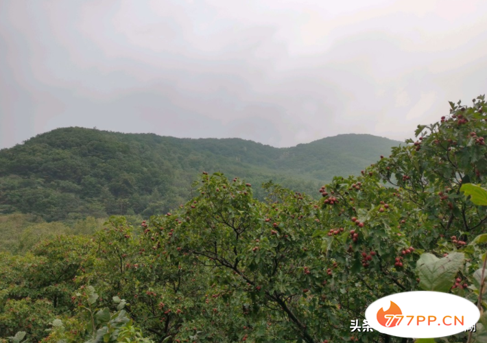 北京怀柔与延庆的交界处，高山流水觅知音的隐秘圣地，风景绝佳