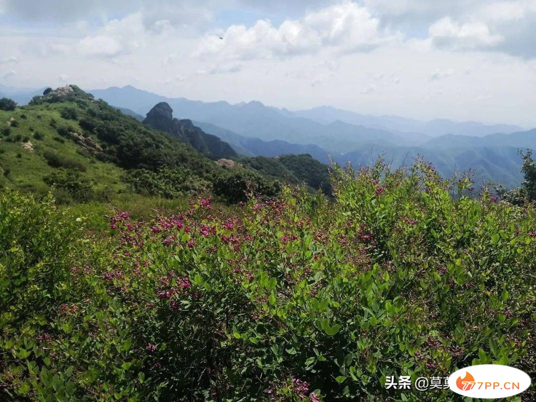 北京怀柔与延庆的交界处，高山流水觅知音的隐秘圣地，风景绝佳