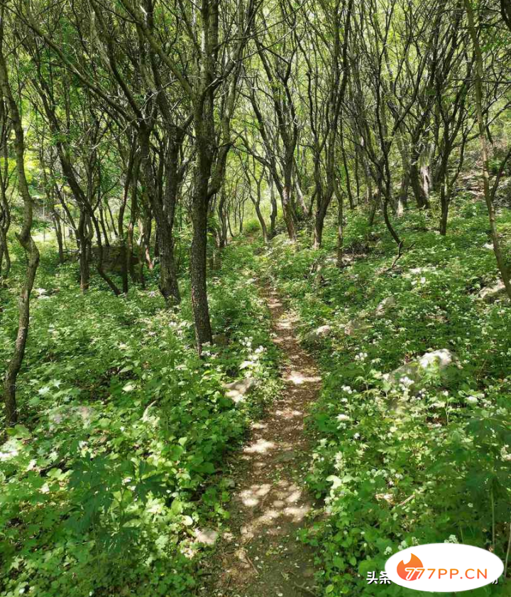 北京怀柔与延庆的交界处，高山流水觅知音的隐秘圣地，风景绝佳