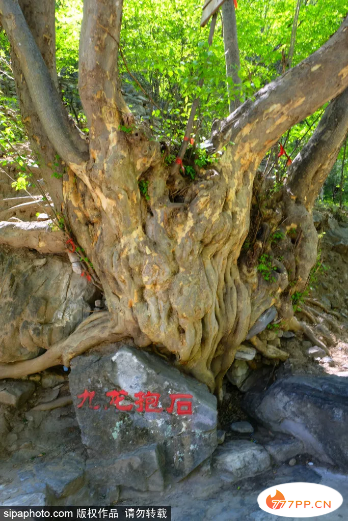 炊烟萦绕！京郊天然僻静避暑地，美得遗世独立，还藏着不得不尝的人间美味～