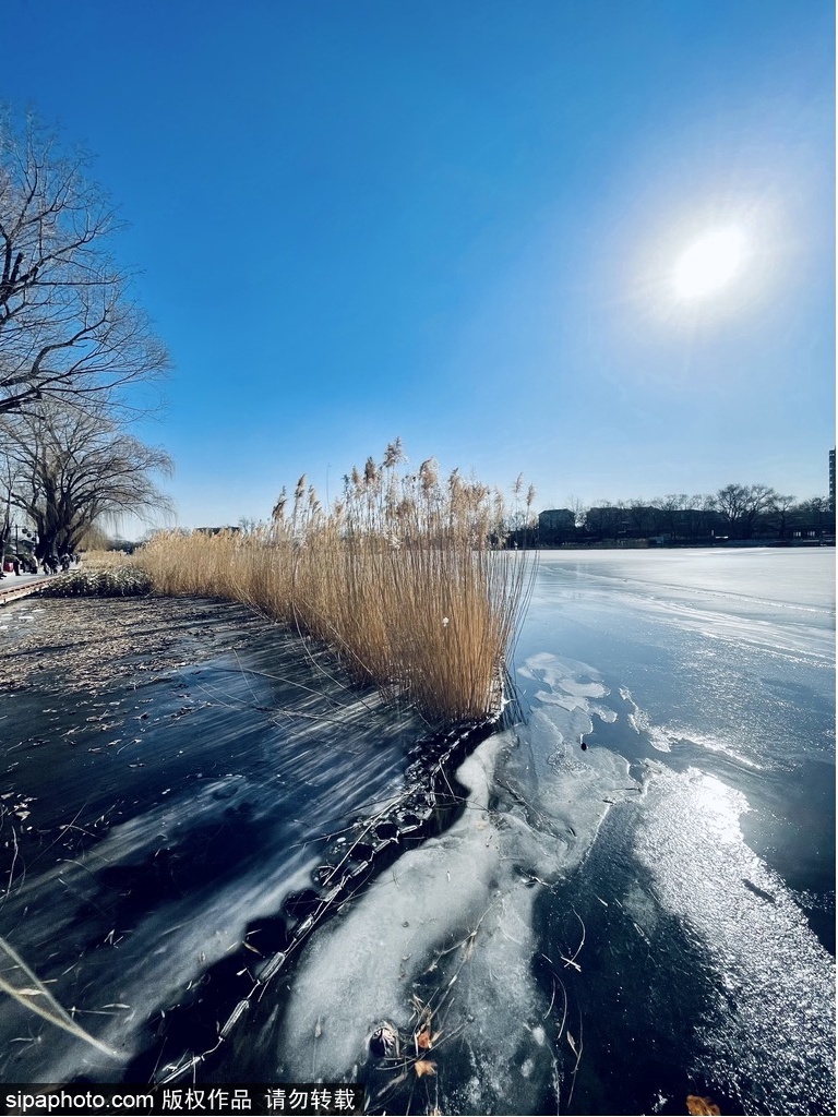 京城这些地方的雪景美轮美奂，值得一看！