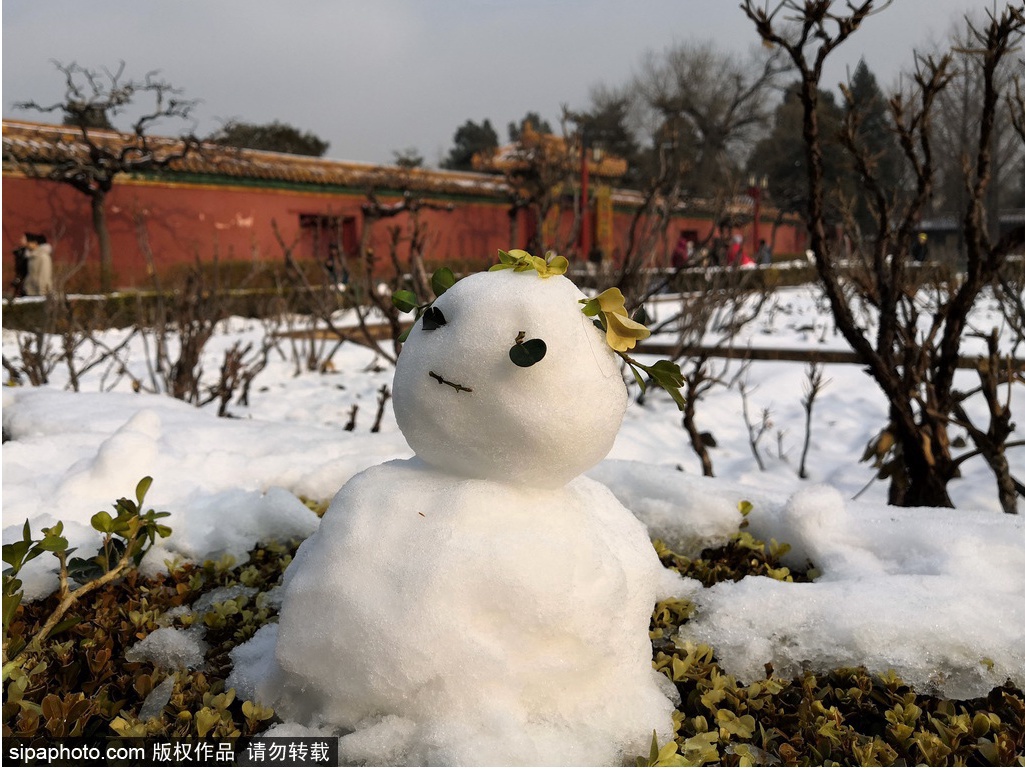 京城这些地方的雪景美轮美奂，值得一看！