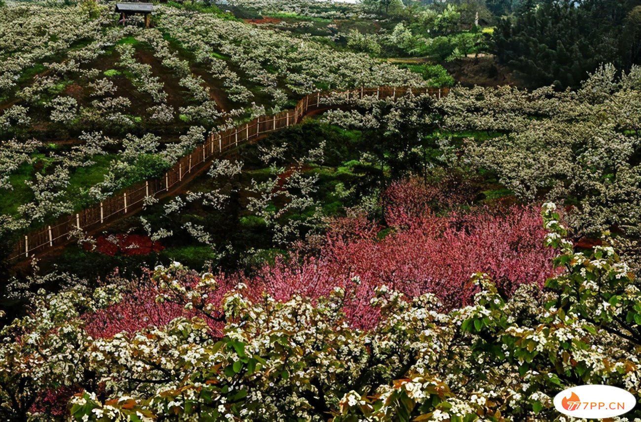 四川新晋4A级景区盘点——宜宾市长宁县佛来山旅游景区