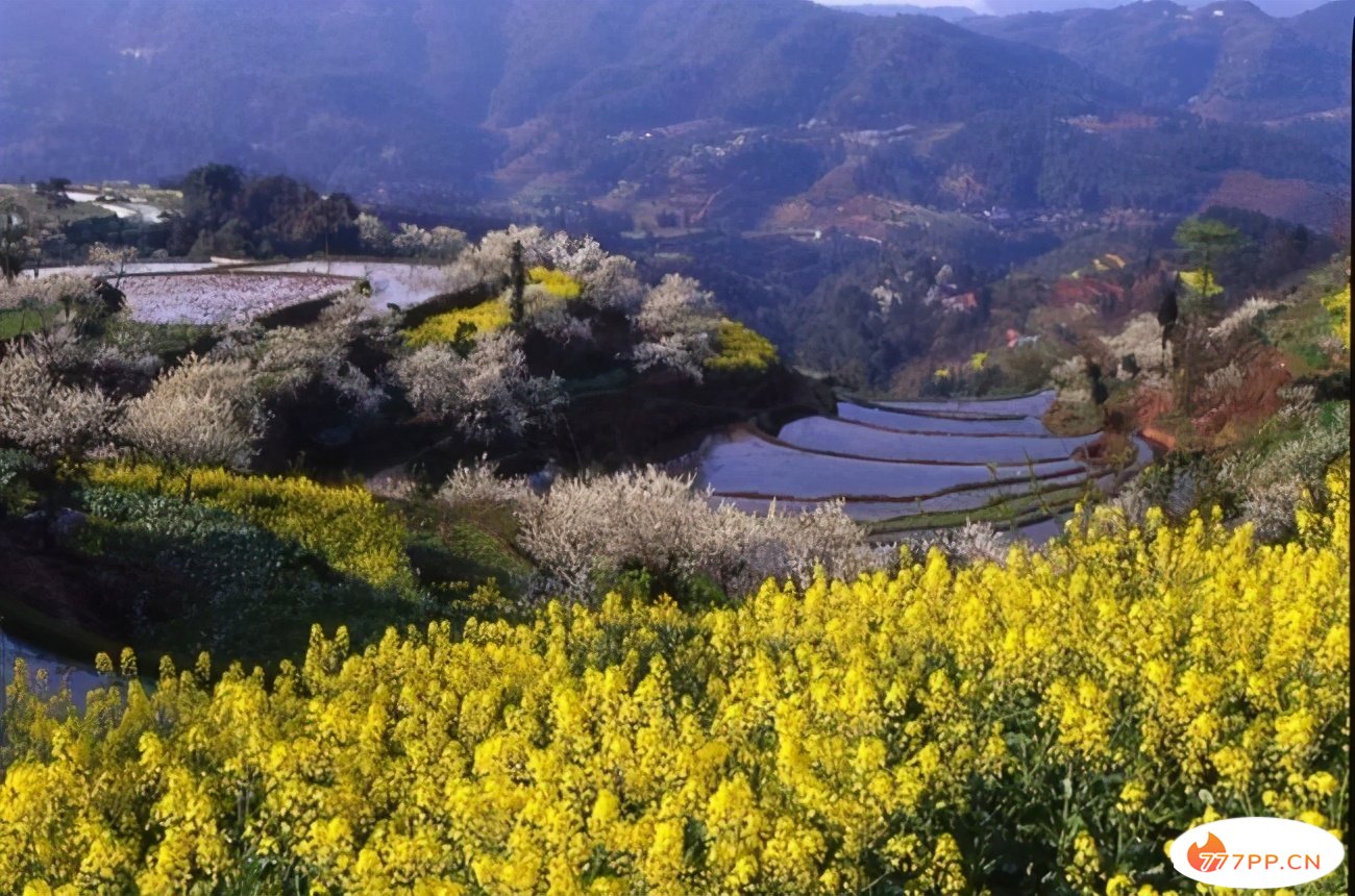 四川新晋4A级景区盘点——宜宾市长宁县佛来山旅游景区