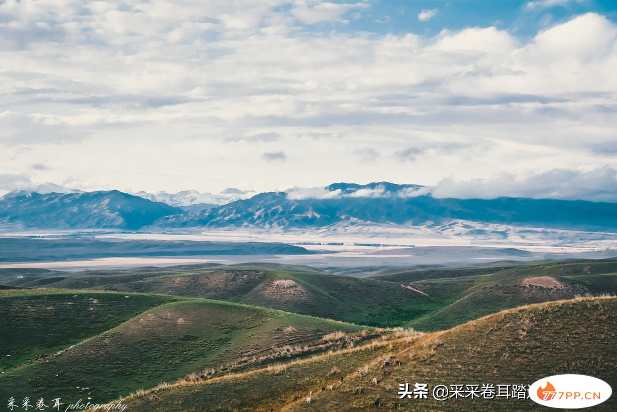 新疆旅行，昭苏超冷门“聚宝盆”阿合牙孜沟，美景尽有，自驾必去