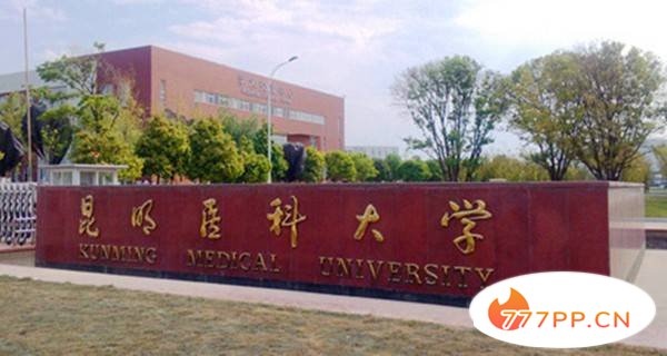 昆明医科大学校门