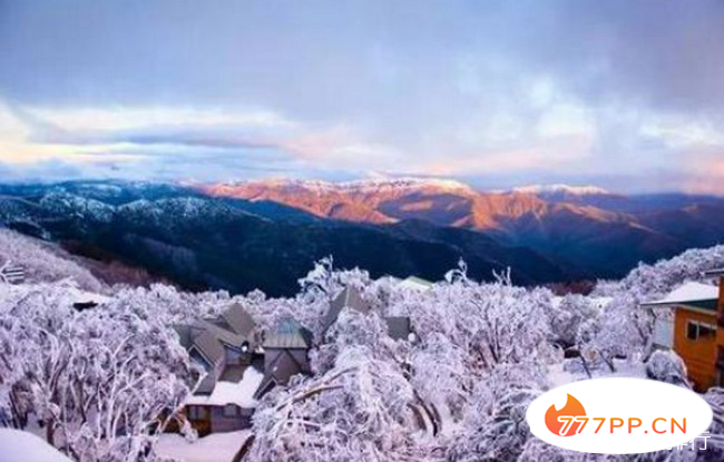 布勒山（澳洲）